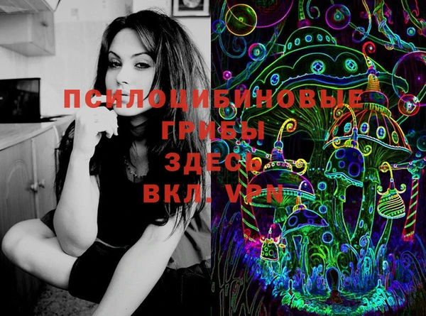 молекула духа Алексеевка