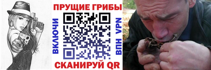 Псилоцибиновые грибы Magic Shrooms  Батайск 